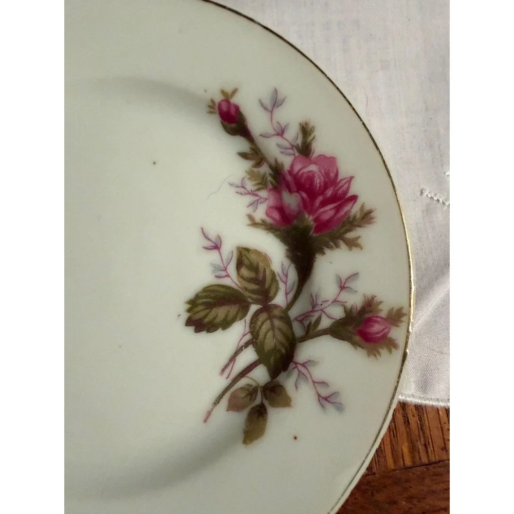 Vintage Pink Moss Rose 4